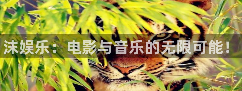 蓝图娱乐官网入口：沫娱乐：电影与音乐的无限可能！