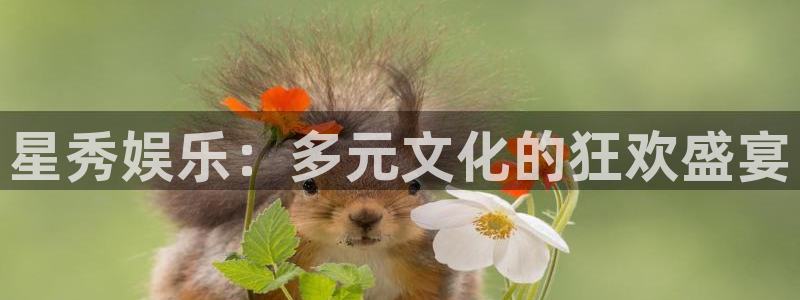 蓝图娱乐平台：星秀娱乐：多元文化的狂欢盛宴