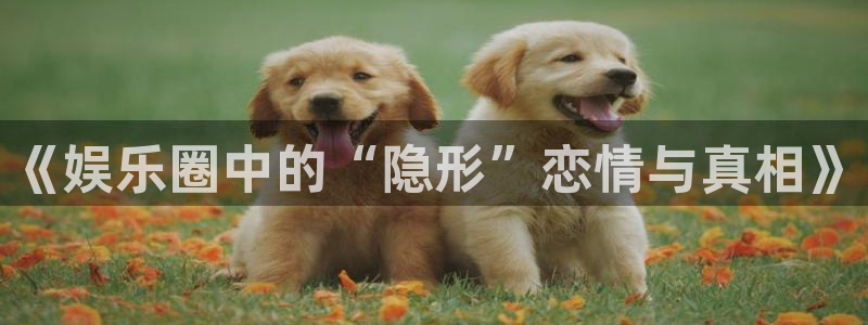 蓝图娱乐官网入口：《娱乐圈中的“隐形”恋情与真相》