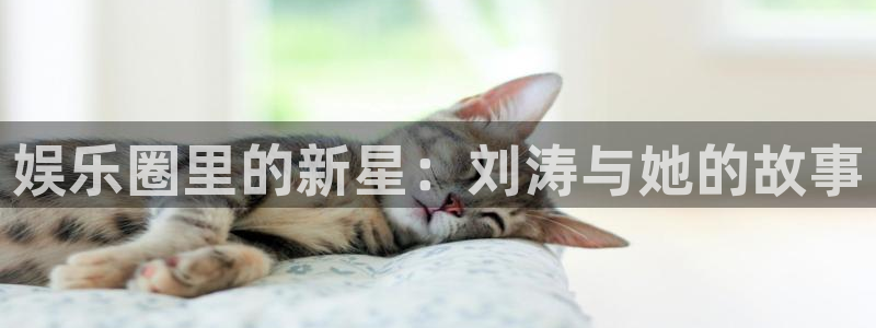 蓝图娱乐平台：娱乐圈里的新星：刘涛与她的故事