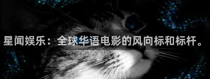 蓝图娱乐官网入口：星闻娱乐：全球华语电影的风向标和标杆。