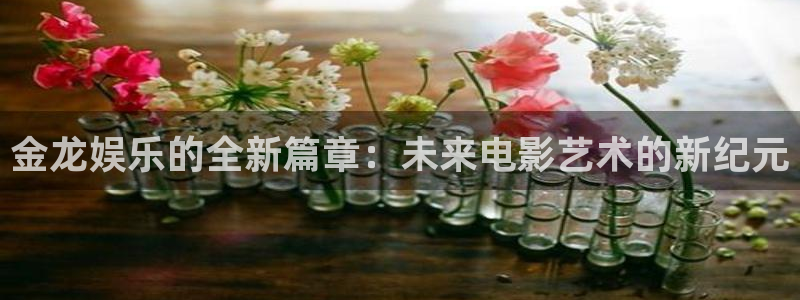蓝图娱乐平台主管：金龙娱乐的全新篇章：未来电影艺术的新纪元