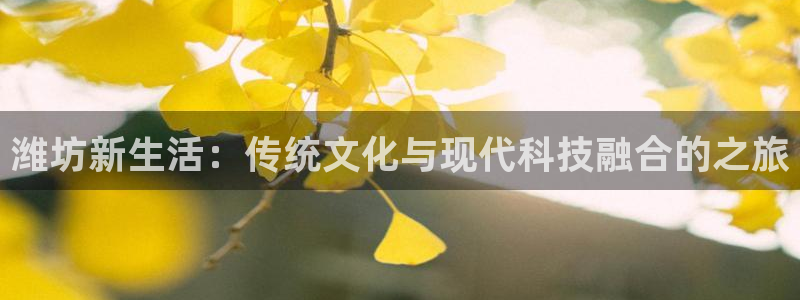 蓝图娱乐平台：潍坊新生活：传统文化与现代科技融合的之旅