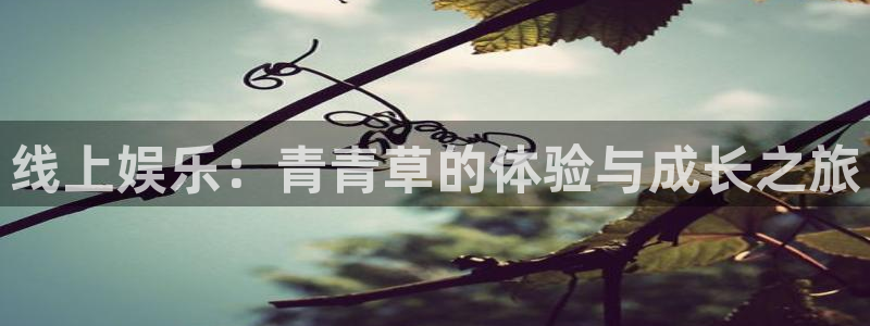 蓝图娱乐平台：线上娱乐：青青草的体验与成长之旅