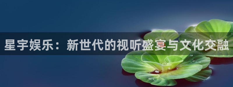 蓝图娱乐平台主管：星宇娱乐：新世代的视听盛宴与文化交融