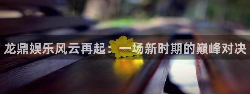 蓝图娱乐平台主管：龙鼎娱乐风云再起：一场新时期的巅峰对决