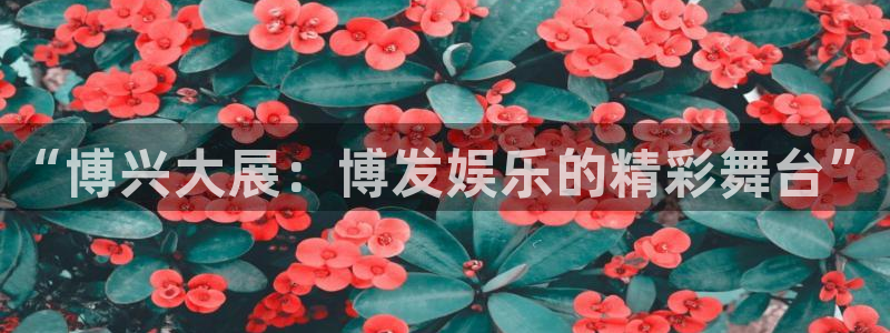 蓝图娱乐平台：“博兴大展：博发娱乐的精彩舞台”