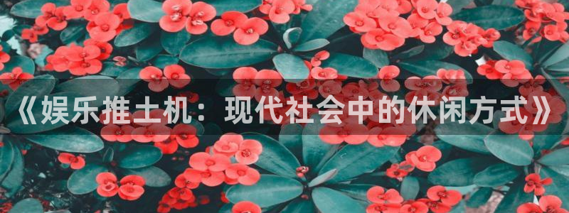 蓝图娱乐平台主管：《娱乐推土机：现代社会中的休闲方式》