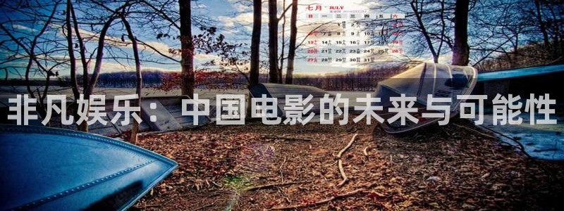 蓝图娱乐平台：非凡娱乐：中国电影的未来与可能性